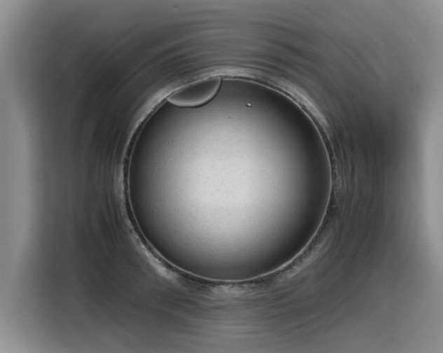 X0000115800898200911201355