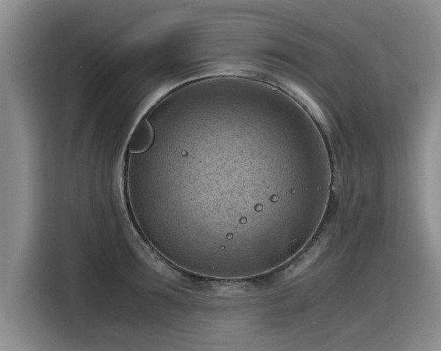 X0000115800899200911201355