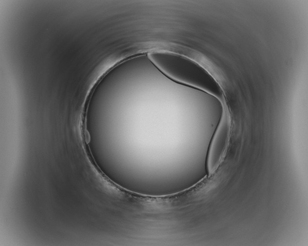 X0000115800901200911201355