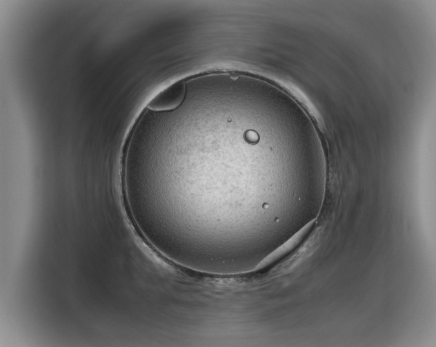 X0000115800903200911201355