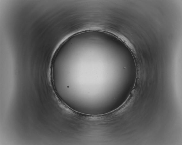 X0000115800904200911201355