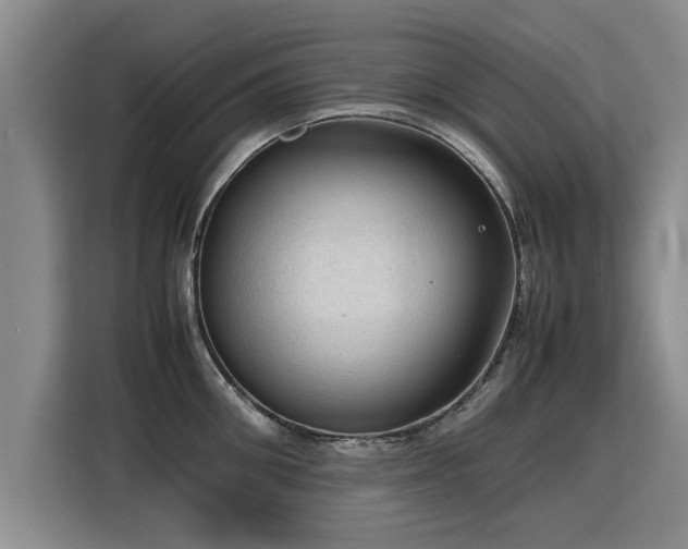 X0000115800906200911201355