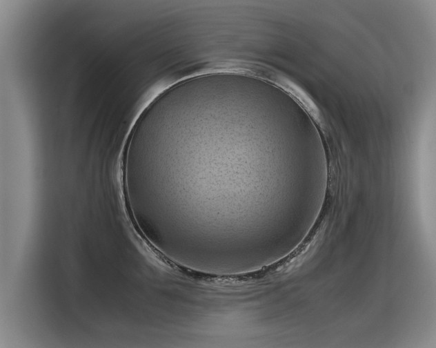 X0000115800907200911201355