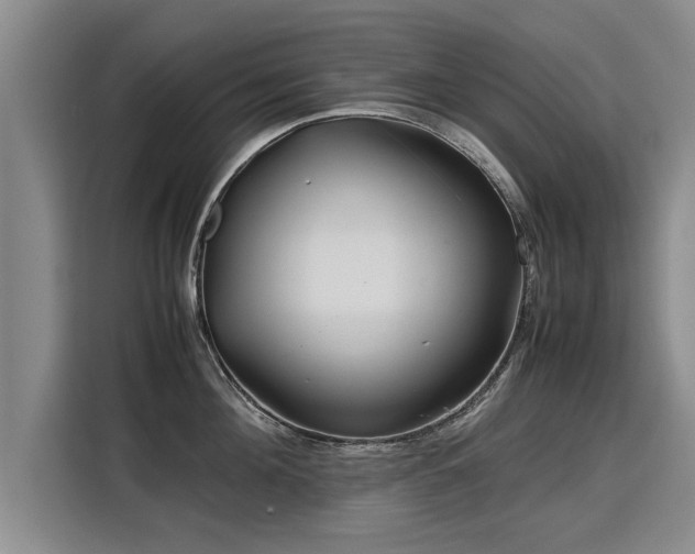 X0000115800908200911201355