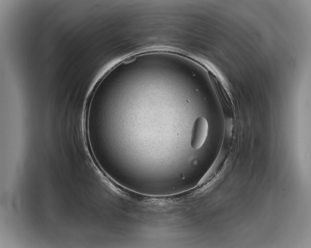 X0000115800910200911201355