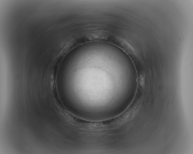 X0000115800915200911201354