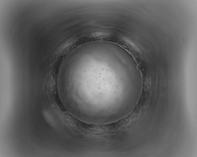 X0000115800917200911201354