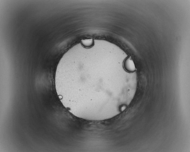 X0000115800918200911201354
