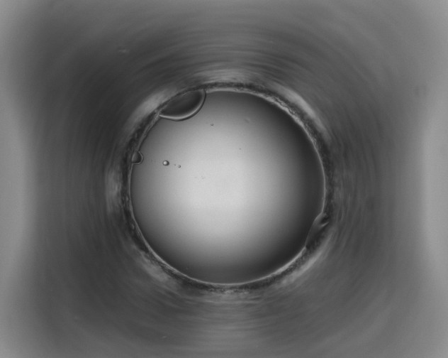 X0000115800922200911201355