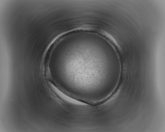 X0000115800923200911201355