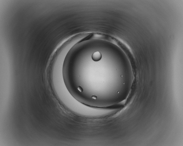 X0000115800925200911201355