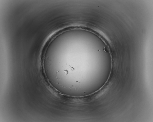 X0000115800927200911201355