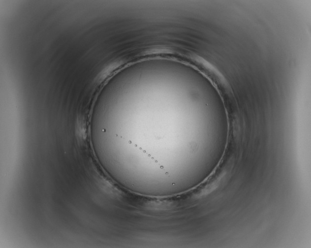 X0000115800929200911201355