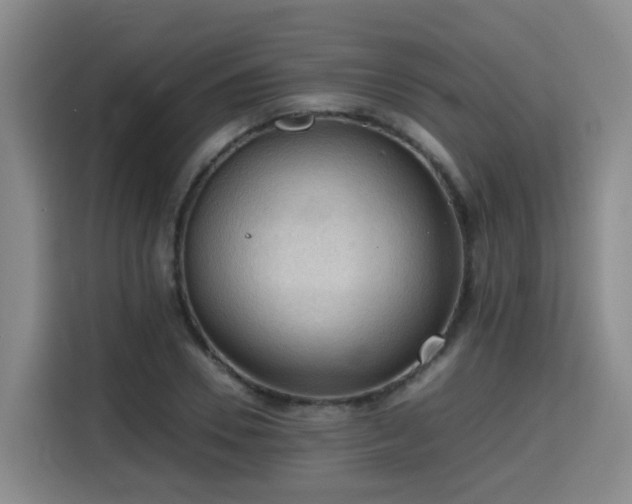 X0000115800930200911201355
