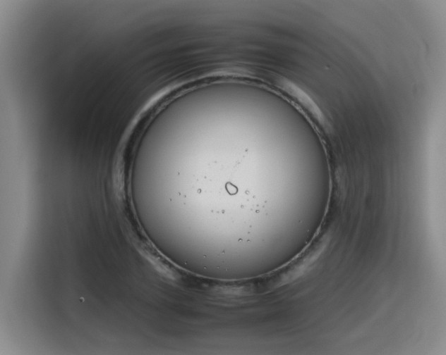 X0000115800931200911201355