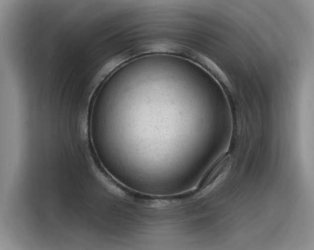 X0000115800938200911201355
