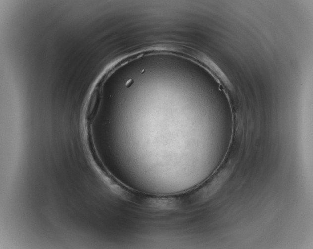 X0000115800939200911201355