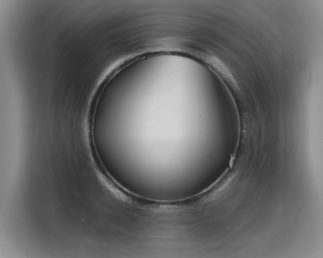 X0000115800942200911201355