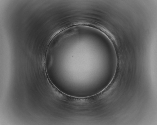 X0000115800945200911201355