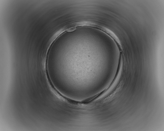 X0000115800946200911201355