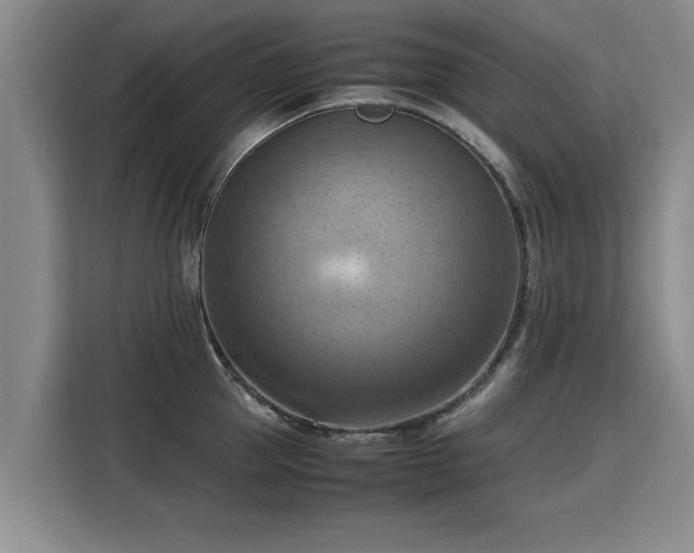 X0000115800953200911201355