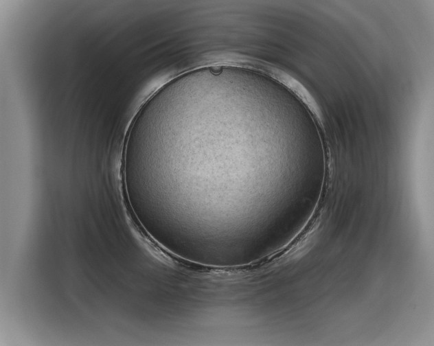 X0000115800954200911201355