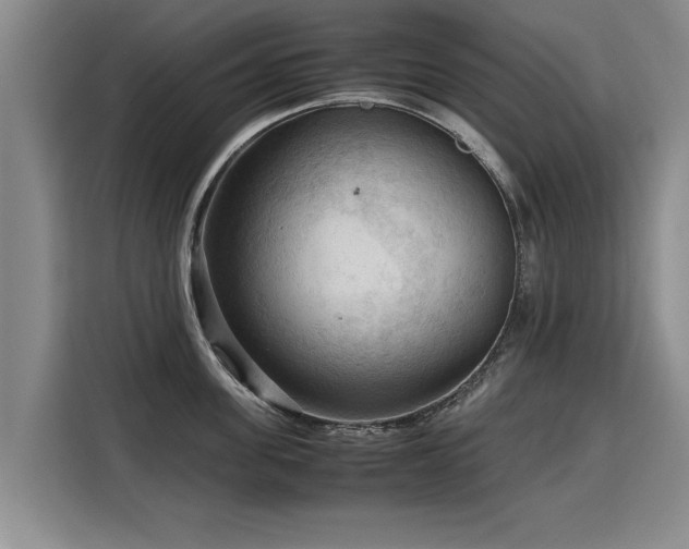 X0000115800955200911201355