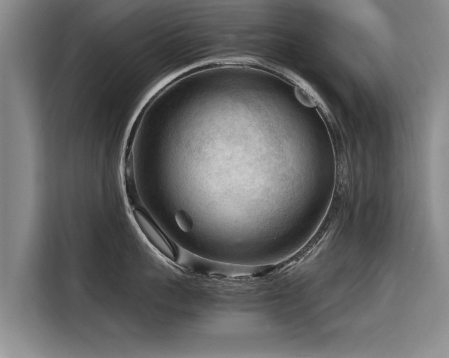 X0000115800959200911201355