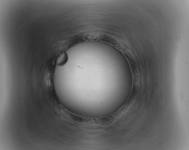X0000115800962200911201354