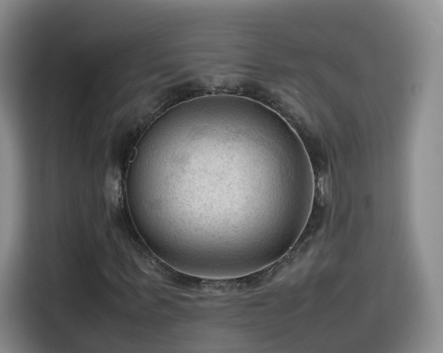 X0000115800963200911201354