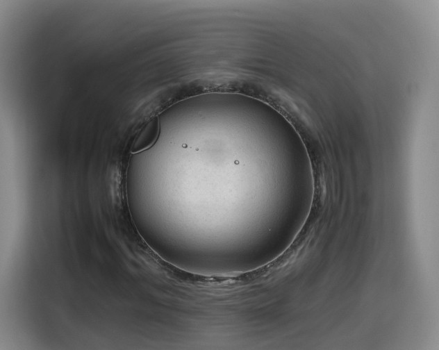 X0000115800964200911201354