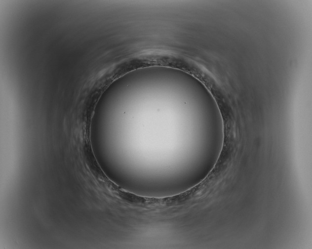 X0000115800965200911201354