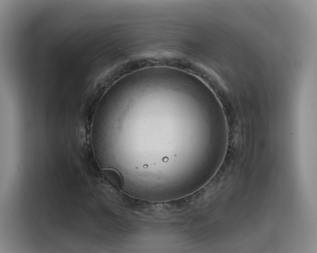 X0000115800966200911201354