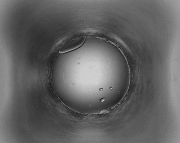 X0000115800967200911201354