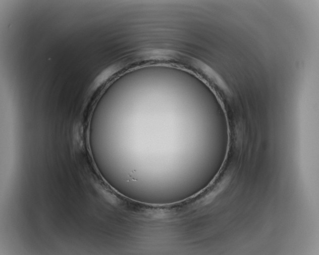 X0000115800970200911201354