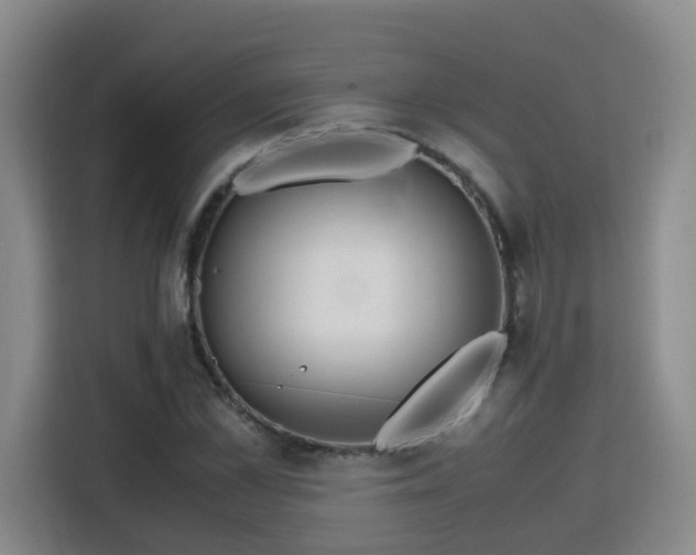 X0000115800973200911201354