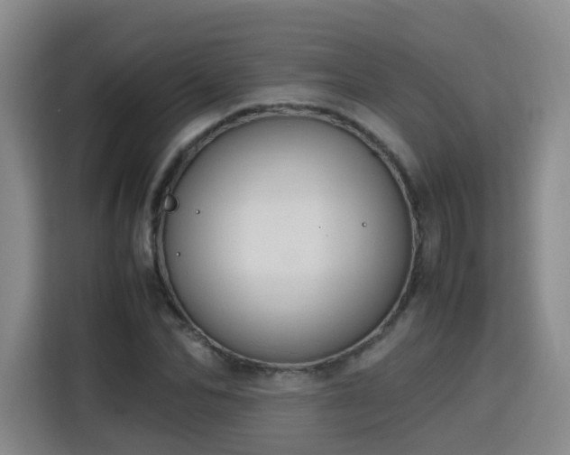 X0000115800974200911201354