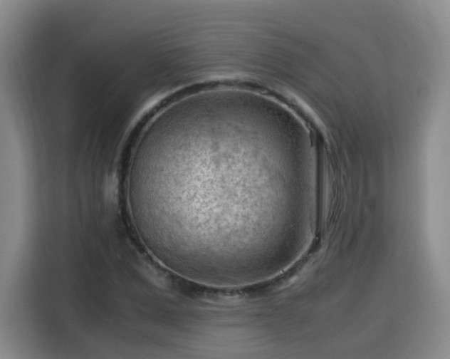 X0000115800975200911201354