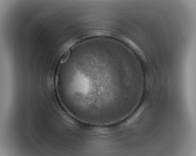 X0000115800977200911201354
