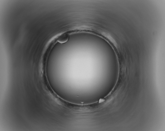 X0000115800979200911201354