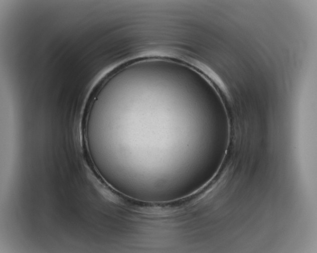 X0000115800980200911201354