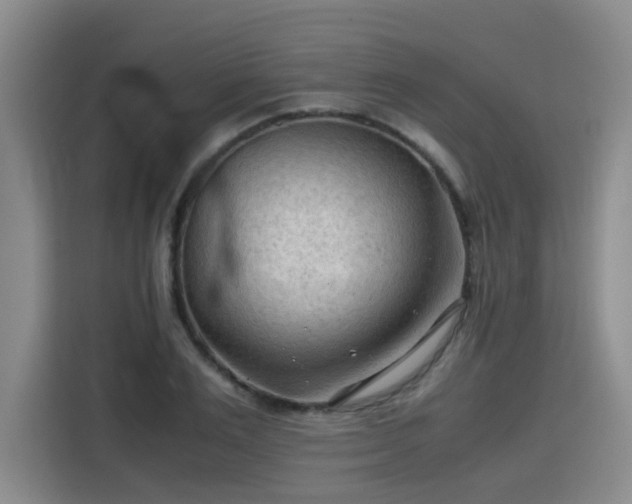 X0000115800983200911201354