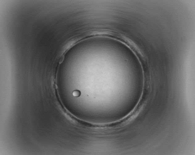 X0000115800985200911201354