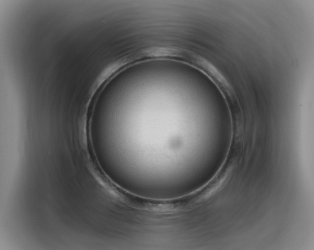 X0000115800986200911201354
