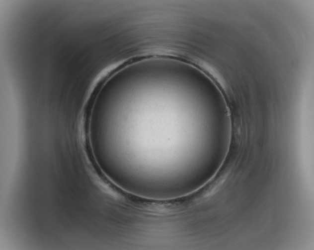 X0000115800987200911201354