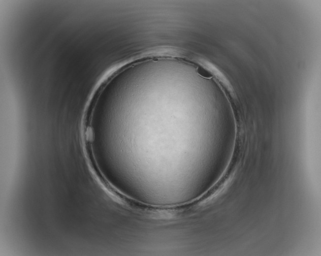 X0000115800989200911201354