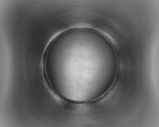 X0000115800990200911201354