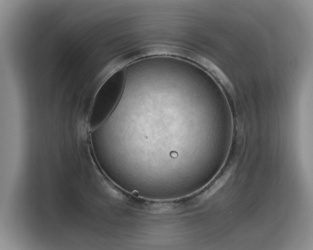 X0000115800993200911201354