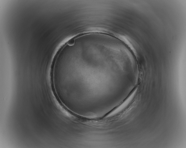 X0000115800995200911201354