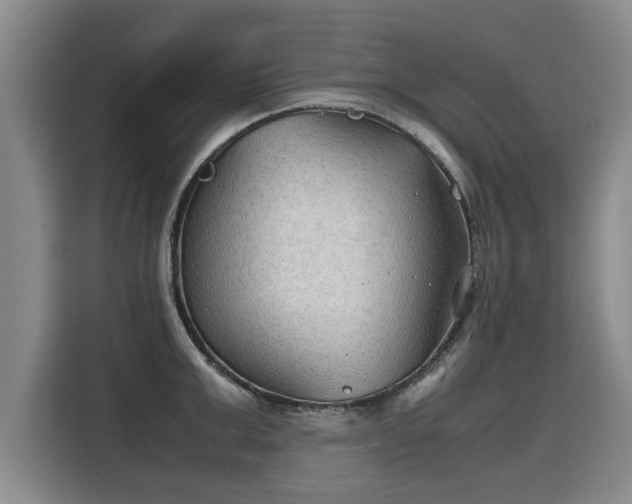 X0000115800999200911201354